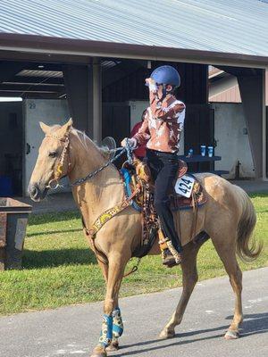 Buddy, from Just Horse'n at 4H State Competition.