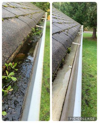 Gutter Cleaning