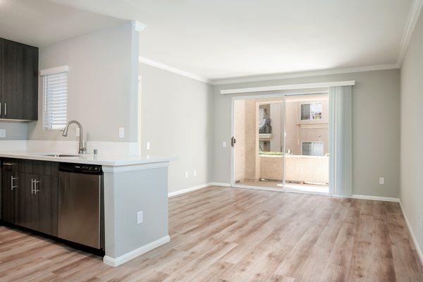 Living Room/Kitchen