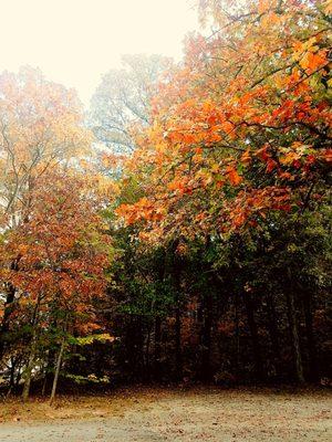 Marietta Camp Meeting