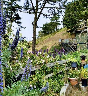 Lovely setting for a community garden