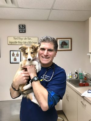 Dr Monaco and Sheltie pup