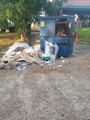 Raccoons had a field day. Trash was left for days