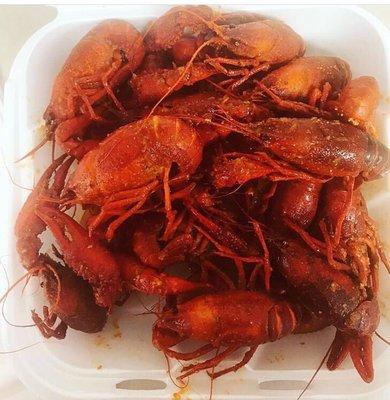 SELECT crawfish