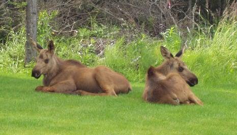 Youngsters relaxing after an exciting round of golf.