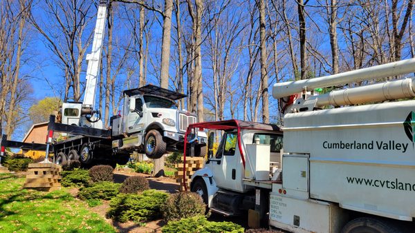 Cumberland Valley Tree Service-Landscaping