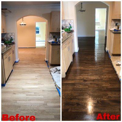 Refinish wood floors