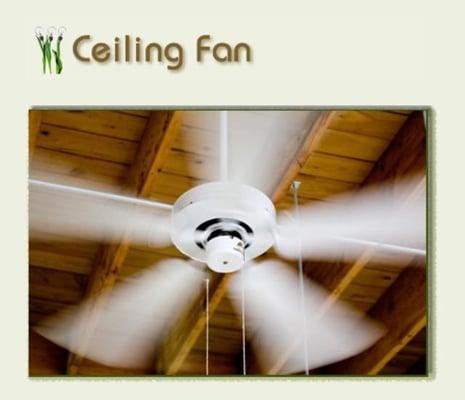 Ceiling Fan