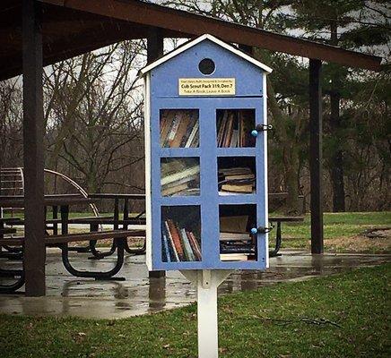 Little free lending library near the large playground.