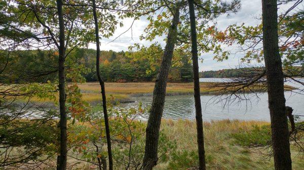 Salt marsh photo.