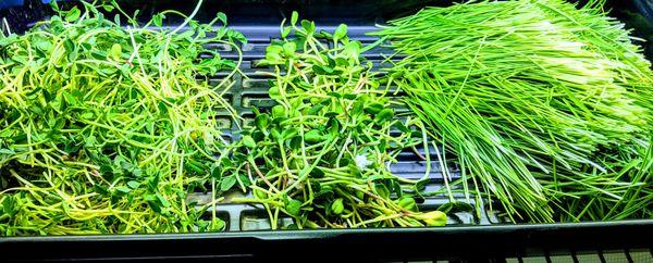 Our microgreens selection are endless..