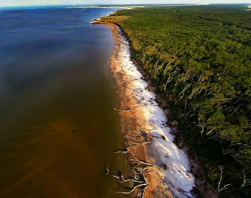 Big Talbot Island