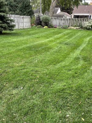 Recently mowed customer lawn