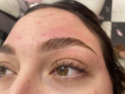 brow lamination