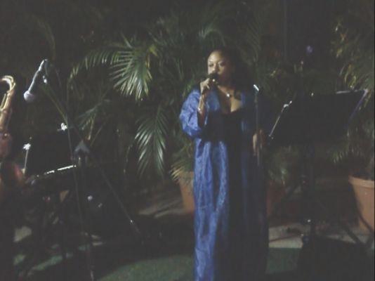 Teri Wilson and band performing at Wedding Anniversary.