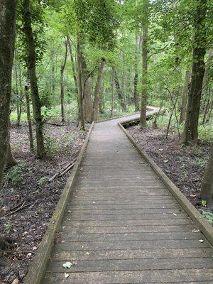 Easy walk boardwalk