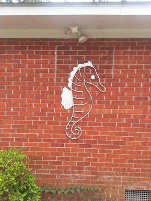 4 ft sea horse