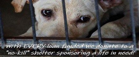 HELP US SUPPORT NO KILL ANIMAL SHELTERS!