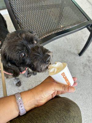 Starting Monday off right w a pupuccino. #dogfriendly