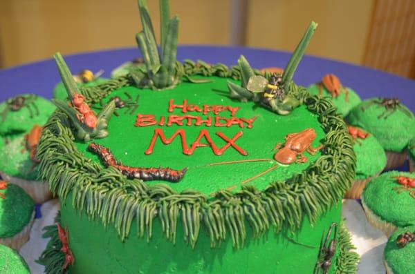 Bug themed cake for birthday party at the Insectarium