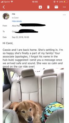 This is the email I sent the DAY I adopted her, September 22. And she says I never updated her. What a freak.