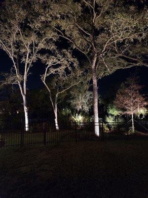 Landscape Lighting