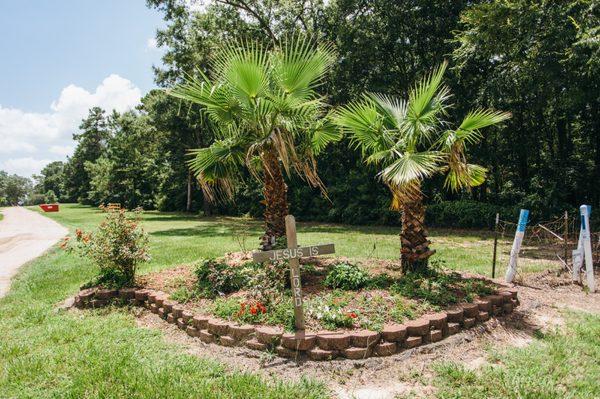 Beautiful park entrance with palm trees