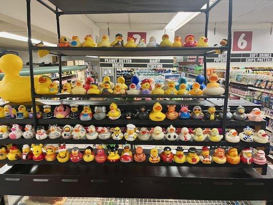 Rubber duck display II