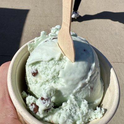 Mint chip scoop