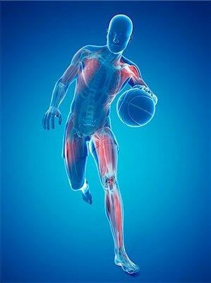 Sports injury or not we're here to help you.