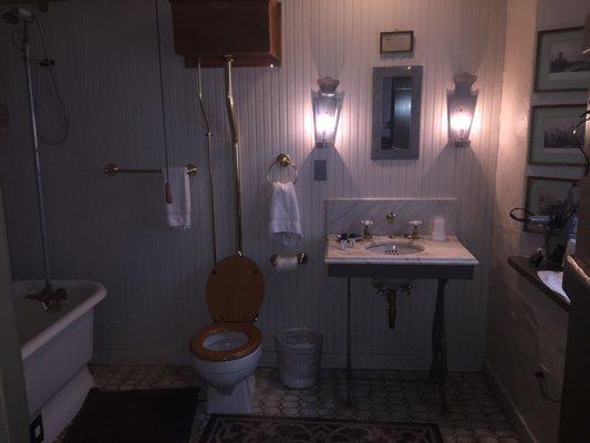 Our bathroom had a old toilet and tub!