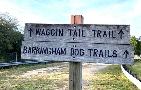 The 2 dog walking trails