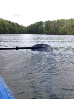 Enjoying the canoes!