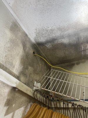 Water damage and mold present in the home