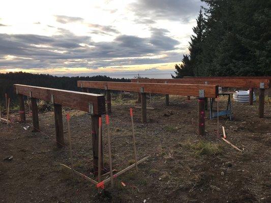 Foundation beams on their piles.