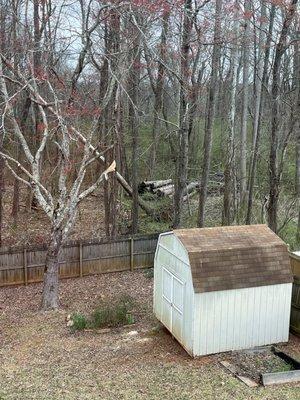 Rough cutting of my Maple tree and damage to storage shed.