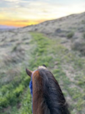 Trail behind ranch