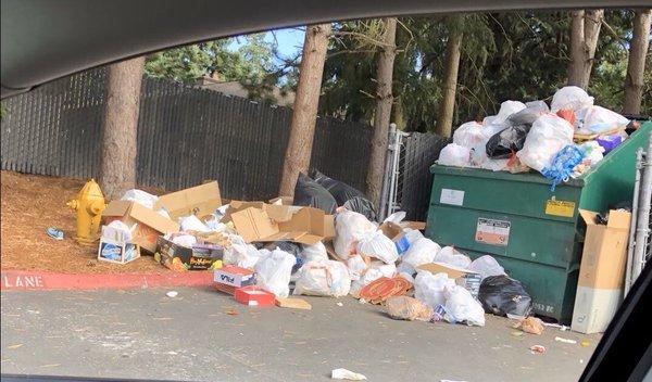 Complex dumpster October 2019