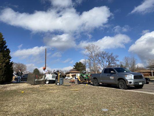 Flatirons Stump Removal