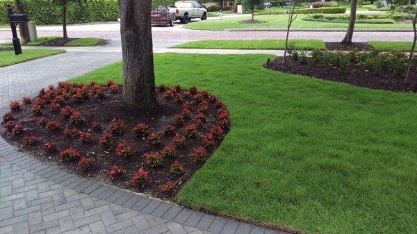 New sod installation and annuals planted