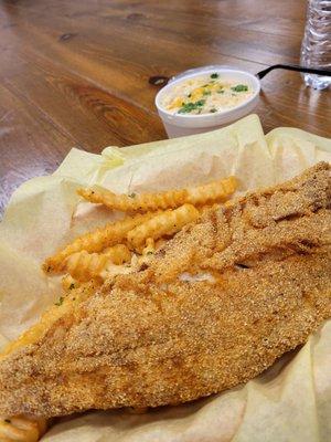 Fried Snapper, best I've ever had, chowder was outstanding!