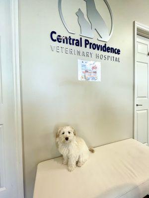 Central Providence Veterinary Hospital