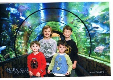 Our four fabulous grandsons!