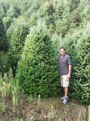 Founder of Londricos Christmas trees in one of our Fraser Fir fields.  We grow our own trees.