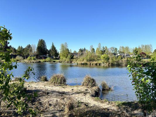 View of the lake