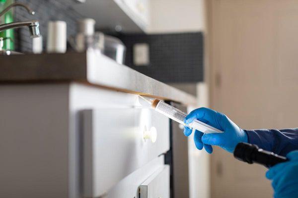 Pest Control Services in Fort Myers, FL