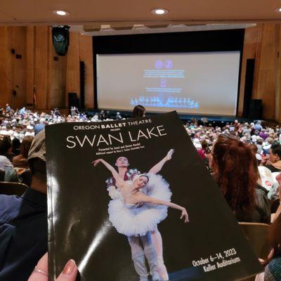 10/7/2023 - Swan Lake was amazing! The sets were so dreamy. While waiting for the crowds to exit we caught a glimpse of the stacked sets.