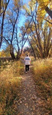 Path in the trees near the park/creek.