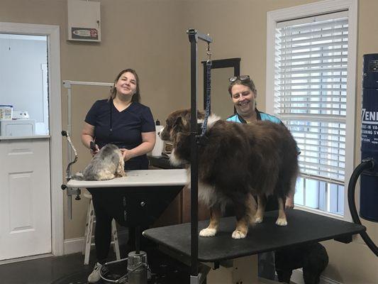 Our groomer's hard at work taking care of your babies.