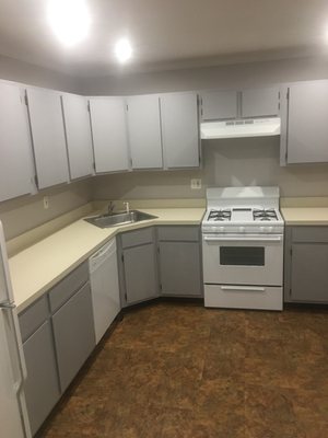 Kitchen Cabinets Painting